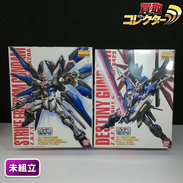 MG 1/100 デスティニーガンダム クリアカラーVer + ストライクフリーダムガンダム クリアカラーVer