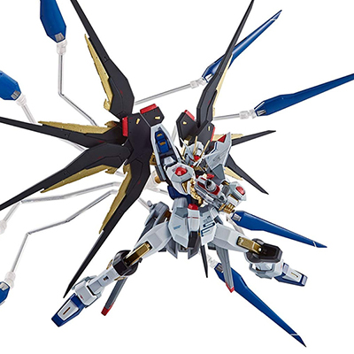 METAL ROBOT魂 機動戦士ガンダムSEED DESTINY ストライクフリーダムガンダム SIDE MS