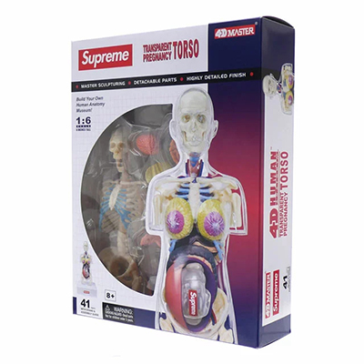 Supreme 18AW Female Anatomy Model / シュプリーム 人体模型 アナトミー 女性