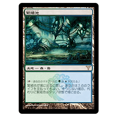 MTG DIS 繁殖池/Breeding Pool (日) Foil