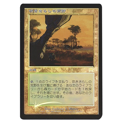 MTG ONS 吹きさらしの荒野/Windswept Heath (日) Foil