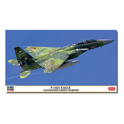 F-15DJ イーグル アグレッサーグリーンスキーム 02460 ハセガワ 1/72