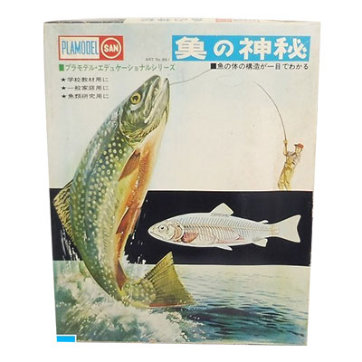 魚の神秘 エデュケーショナルシリーズ プラモデル マルサン 当時物