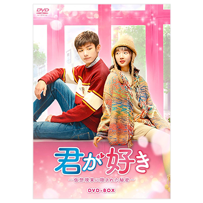 君が好き 仮想現実に隠された秘密 DVD-BOX