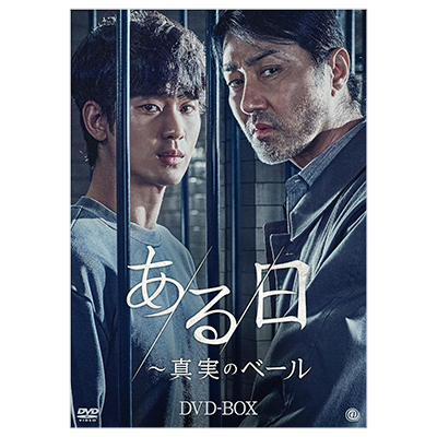 ある日 真実のベール DVD-BOX